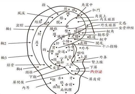 右耳有痣|耳朵上有痣图解对照表